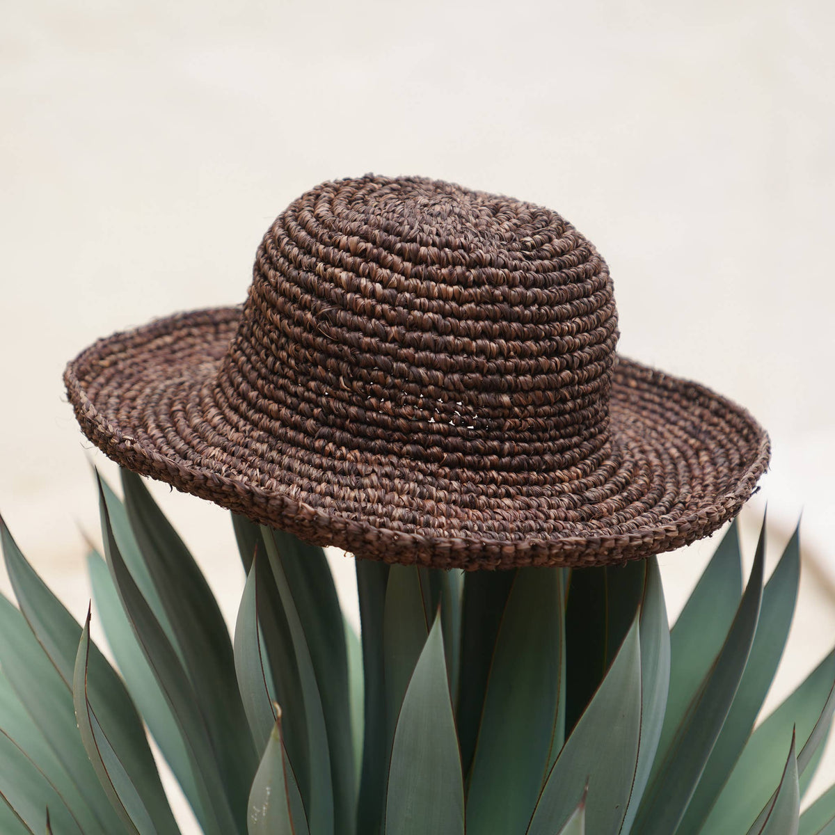 Sun-Kissed Essentials