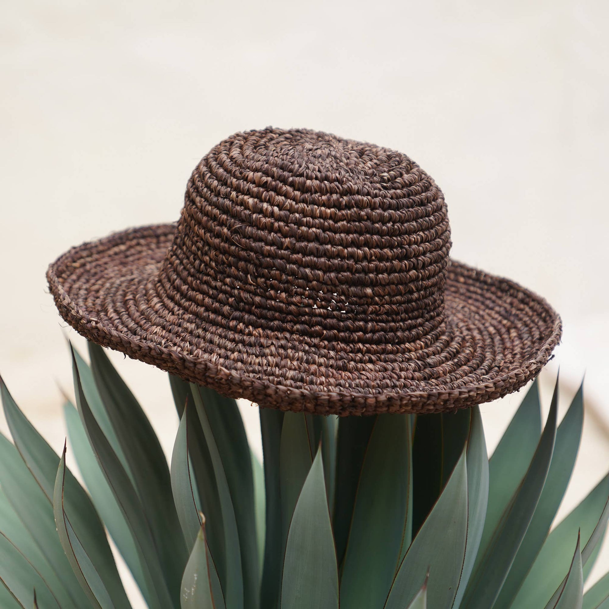 Sun-Kissed Essentials