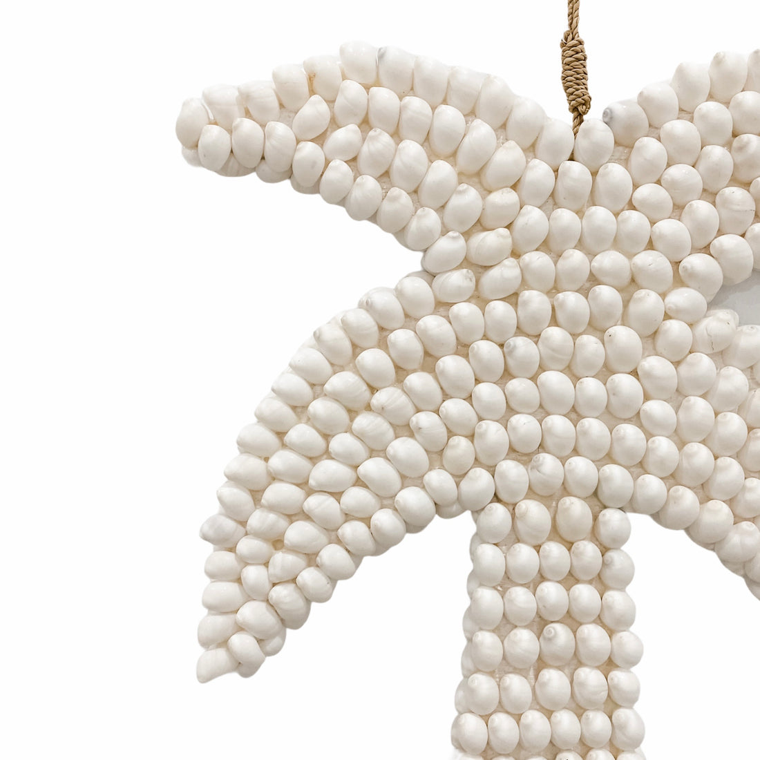Pure Palm Wall Hanging - White Shell